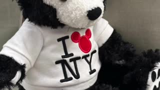 World of Disney New York Disney Bear #shorts