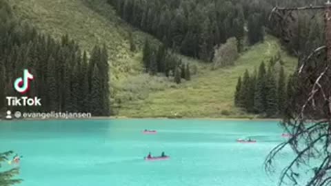 Emerald Lake Pristine waters