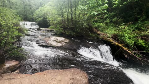 SHORELINE PERSPECTIVE of Tiered Lower McDowell Falls! | McDowell Creek County Park | Oregon | 4K