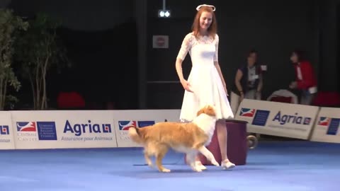 Dog dancing with girl