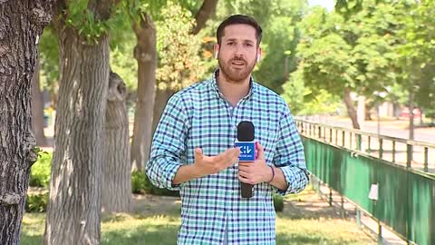 Globally Viral. Parrot steals airpods from on-air reporter.