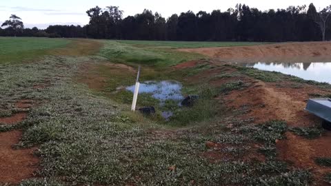 The dam that was dry in summer has more water than its ever had!