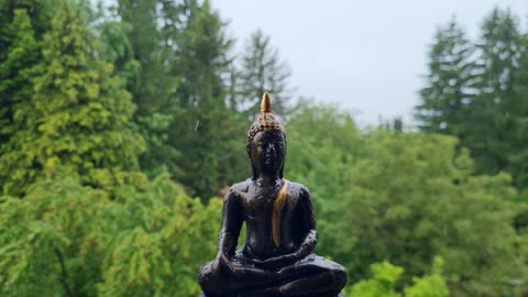 Rainy Day with Buddha 1 HR