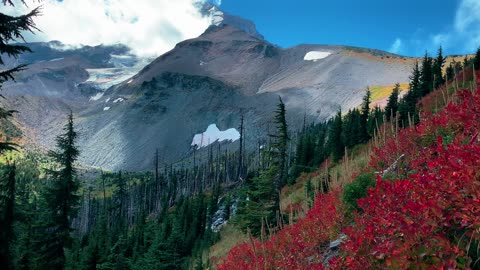 BITE-SIZED WILDS | Serious Alpine Eye Candy @ Elk Cove @ Mount Hood! | Timberline Loop | Oregon | HD