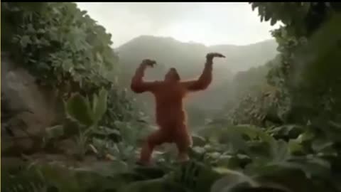 Funny_ Monkey _Dance