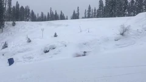 Skier Took An Unfortunate Fall Coming Down On Snow