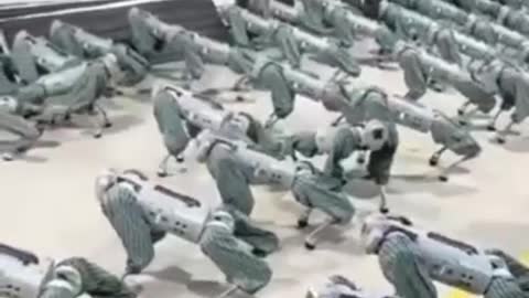 their numbers keep growing.... soon humanoid robots will be rolling out