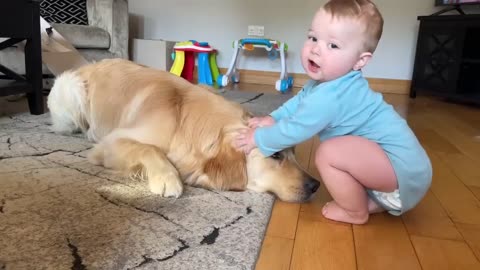 Adorable Baby Boy Talks To His Golden Retriever! (Cutest Ever!!)