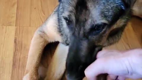 GSD