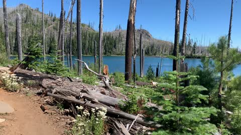 Central Oregon - Mount Jefferson Wilderness - Sapphire Blue Wasco Lake - 4K