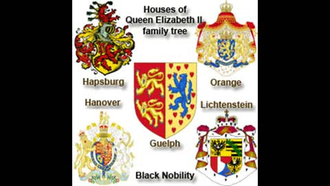 The “Black Nobility” are/were the oligarchic families of Venice and Genoa