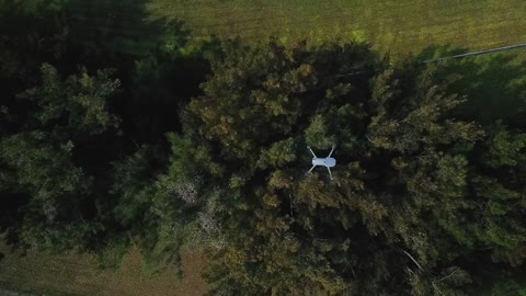 Drone view over trees