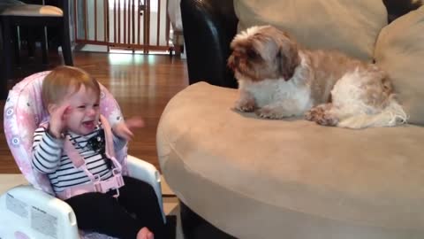 Baby STILL argues with Dog