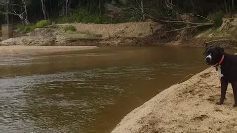 22.6.2024 The Barron River, Kuranda (2)