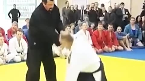 Joe Rogan Talks About Steven Seagals Aikido