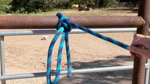 How to tie your horse Option 1