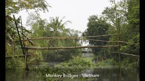 The Most Dangerous Bridges On Earth