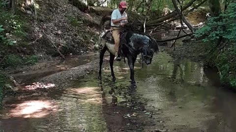 2 STUDS in a creek.