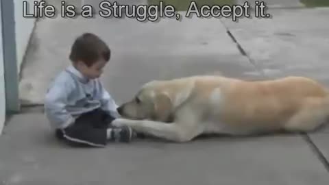 Sweet Mama Dog Interacting with a 3yo DS child From Jim Stenson.