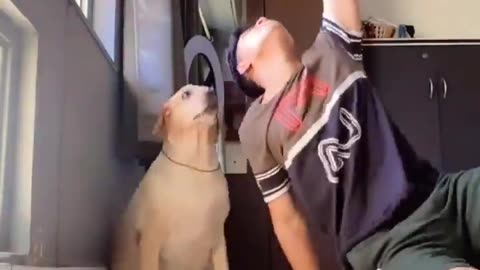 Funny clip with dog and boy sing a song