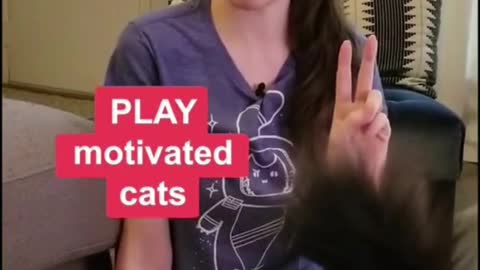 this cat training tip very helped us so much