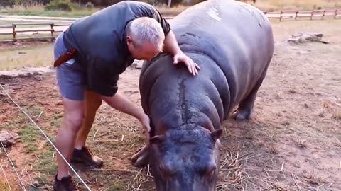 Animals Reunited With Owners After Years !