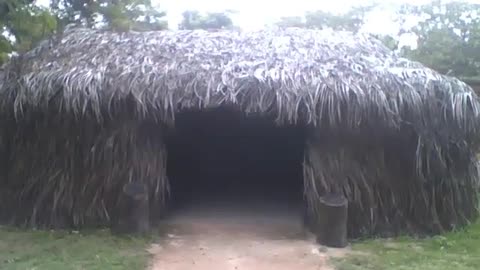 Indigenous oca made of straw at the science museum, a special place [Nature & Animals]