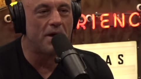 Joe Rogan and Paul Rosolie talk about Coyote