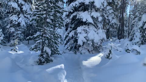 Stacking Snowshoe Loops into “Superhikes” – Central Oregon – Swampy Lakes Sno-Park – 4K