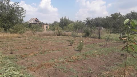 Garden cleared of grass