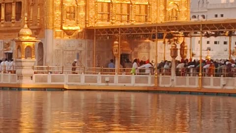 Golden temple spray