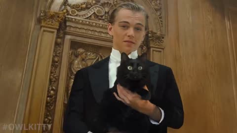 Titanic with a Cat