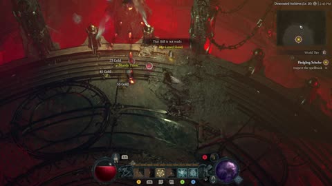 Diablo 4 Rogue Gameplay... Pile them up!!!