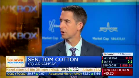 'There Is A Precedent For This': Tom Cotton Renews Call For Military Action Against Cartels