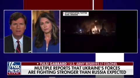 Tulsi Gabbard on the Russia-Ukraine conflict