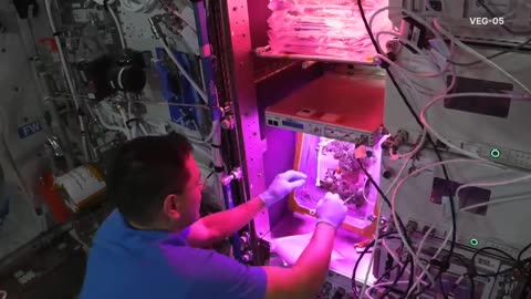 NASA Astronaut Frank Rubio: A Year of Science in Space | NASA Video