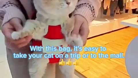 Take your pet to the mall or on a trip with this backpack to free your hands