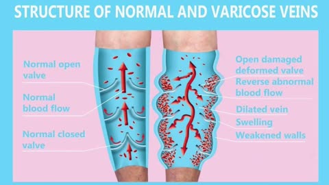 #human #organs #facts #interestingfacts