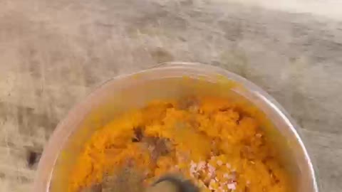 Let’s Make Carrot Hummus