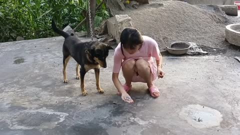 Dog play with beautiful girl