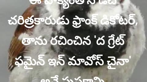 Is our house sparrow safe? మన ఇంటి పిచ్చుక సురక్షితంగా ఉందా?