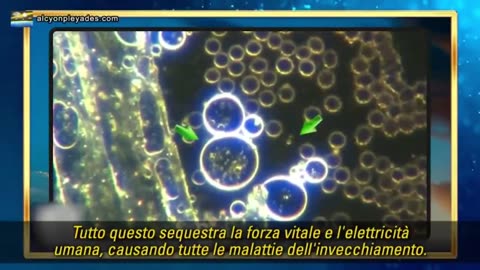 NEL SANGUE C'E' NANOROBOTICA AUTOASSEMBLANTE?