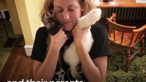 This Couple Can't Stop Adopting Ferrets | The Dodo