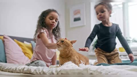 Kids Love The Cat