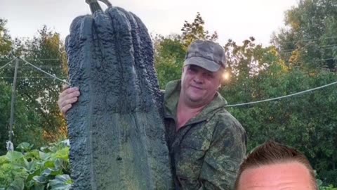 50kg Zucchinis in Russia? Seems the gigantic pumpkins can be turned into anything.