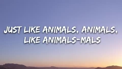 Animals