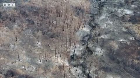 11_How wildfires could be stopped with technology - BBC News