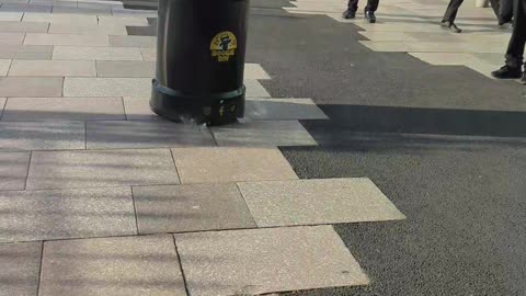 Remote Control Rubbish Bin Race Car