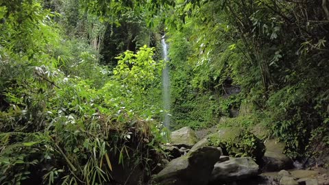 Waterfall in Deep Forest