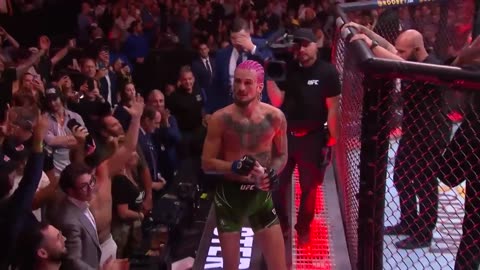 Sean O’Malley KOs Aljamain Sterling at UFC 292